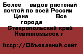 Более200 видов растений почтой по всей России › Цена ­ 100-500 - Все города  »    . Ставропольский край,Невинномысск г.